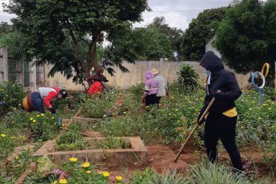 Hoạt động hè của đoàn thanh niên!